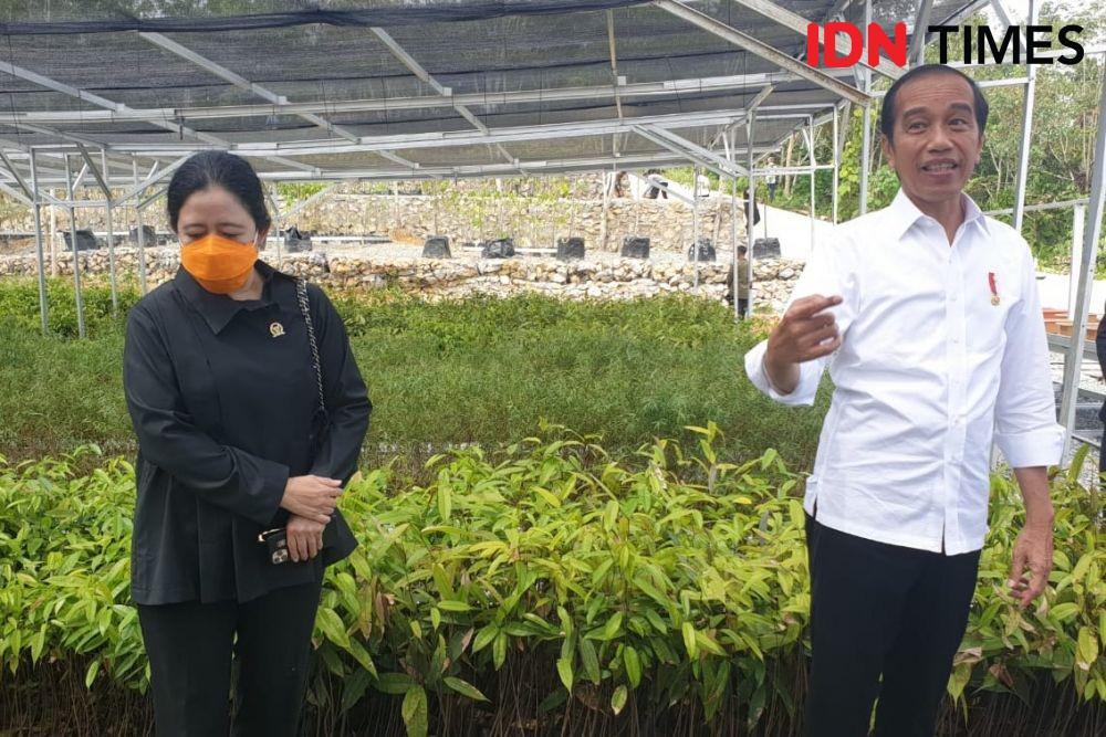 Lili Pintauli Mundur, Begini Alur Pemilihan Pimpinan Baru KPK