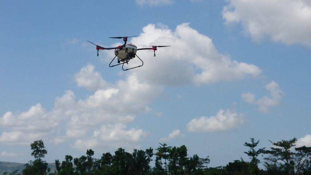 Petani di Tulungagung sewa jasa drone untuk lakukan penyemprotan obat dan pupuk