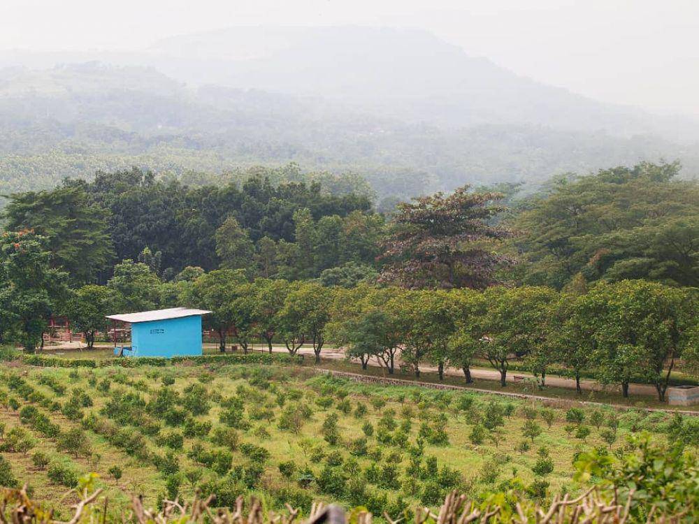 Kebun Wisata Pasirmukti (instagram.com/kebunwisatapasirmukti)