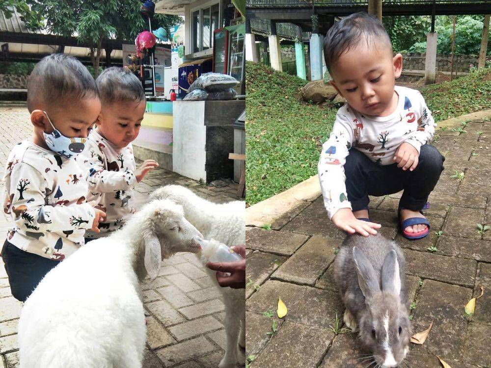 D'kandang Amazing Farm (instagram.com/nendarahayu)