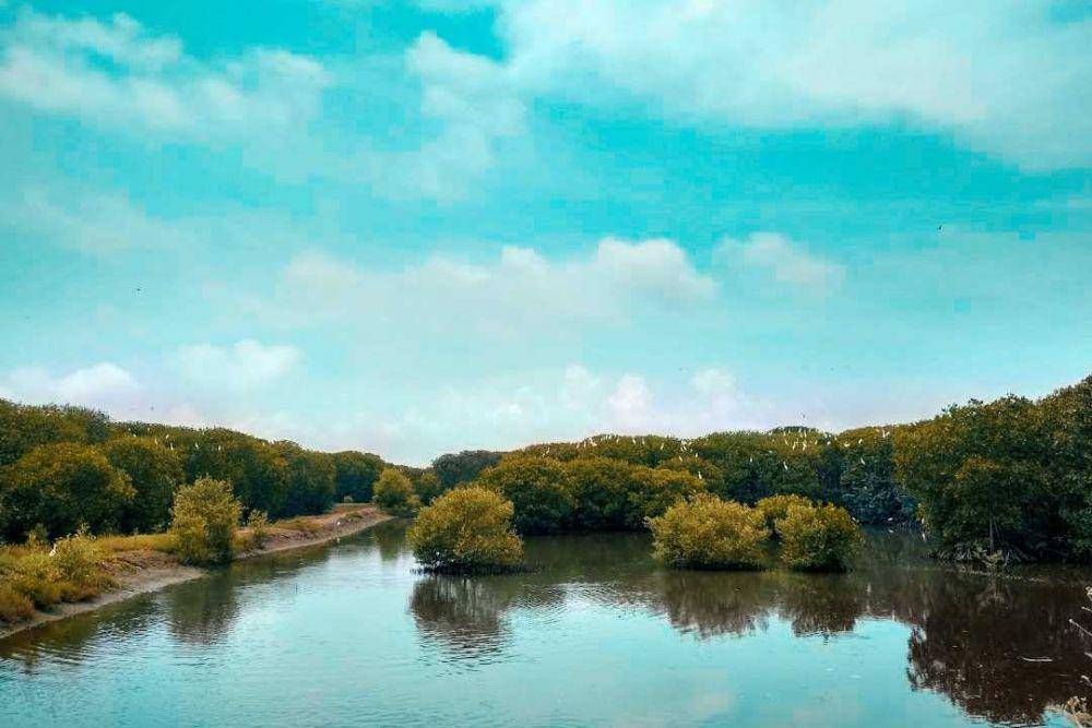 Pantai Panjiwa (instagram.com/moh_wildan_chaerol_fahmi)
