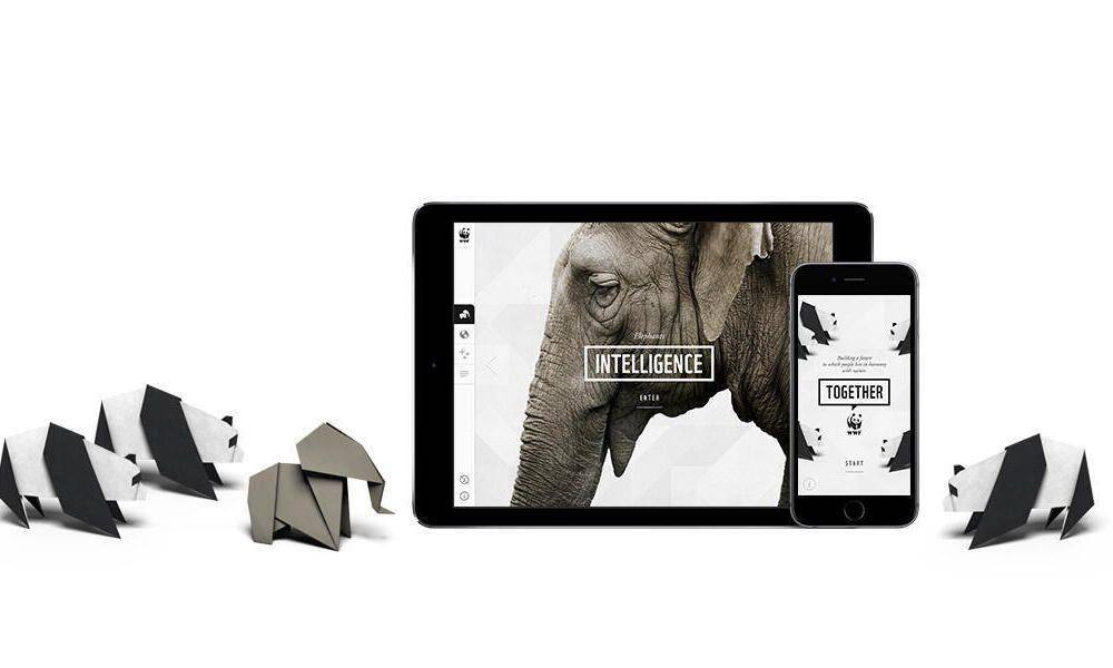 ilustrasi website organisasi (worldwildlife.org)