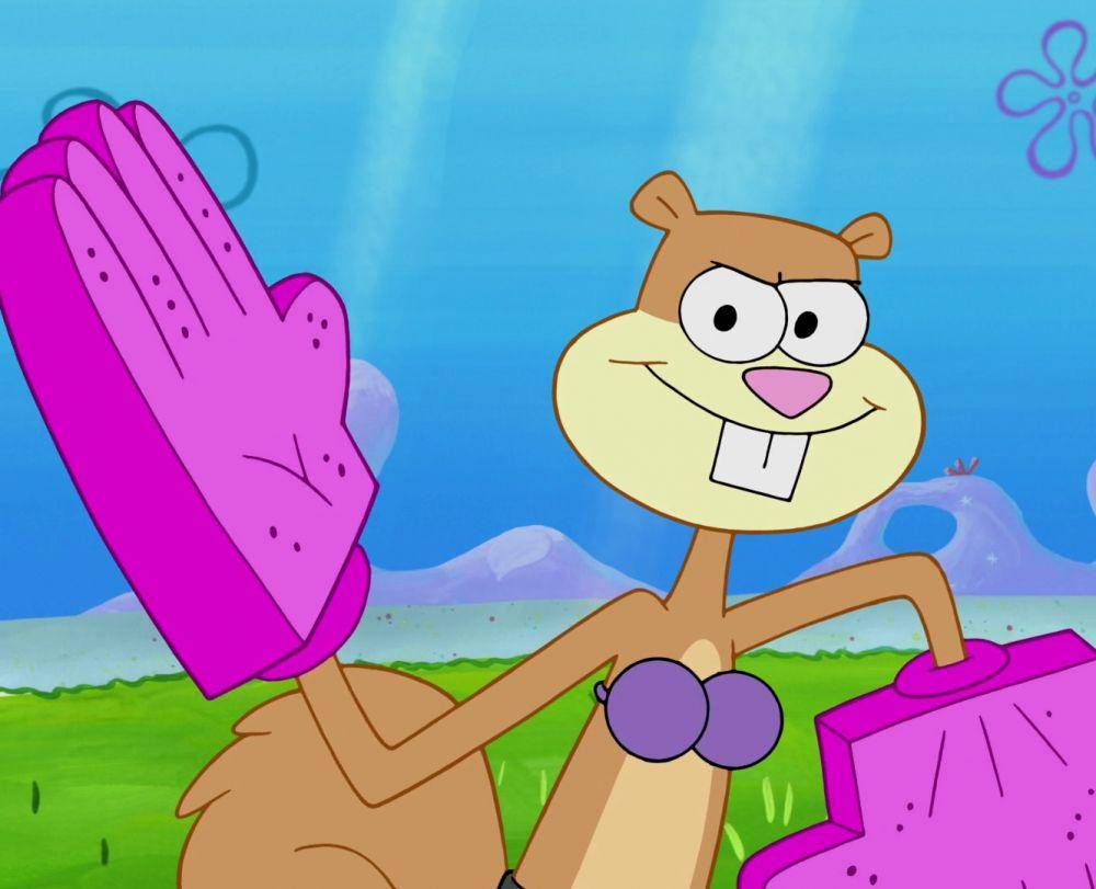 Sandy Cheeks (spongebob.fandom.com)