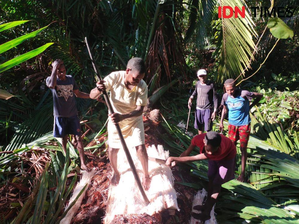 Mengenal Suku Asmat yang Memiliki Kegiatan Peramu