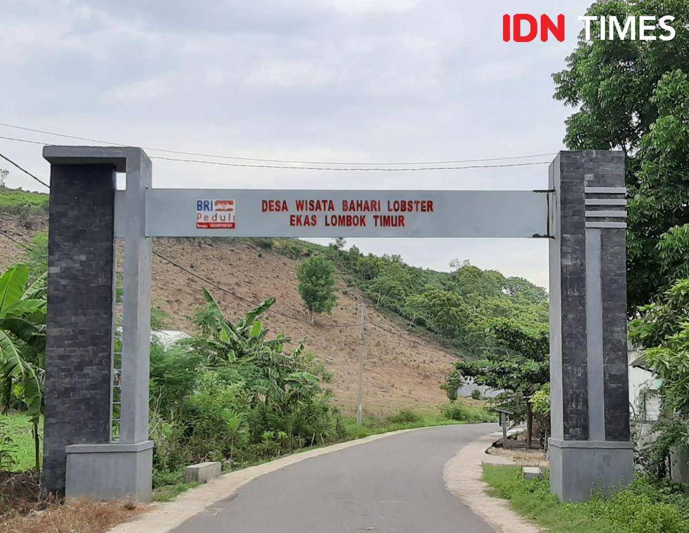 Desa Wisata Bahari Lobster Ekas di Kabupaten Lombok Timur (IDN Times/Sunariyah)