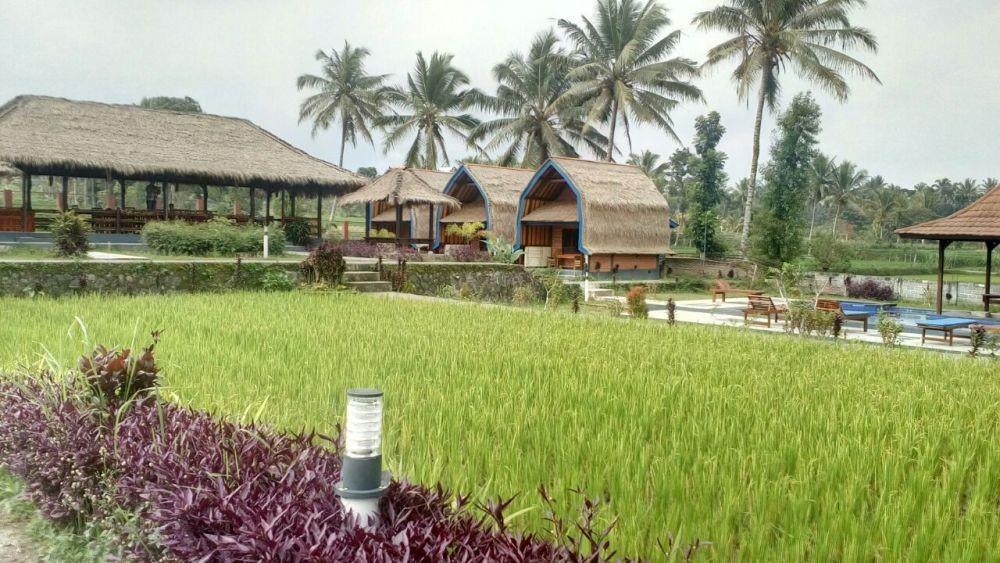 Desa Wisata Tete Batu di Kabupaten Lombok Timur (IDN Times/Sunariyah)