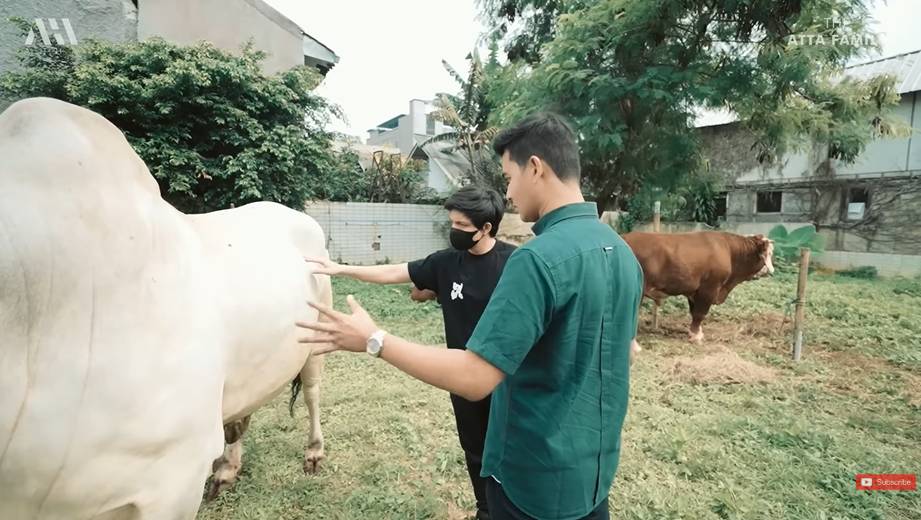 Atta Halilintar (YouTube.com/AH)