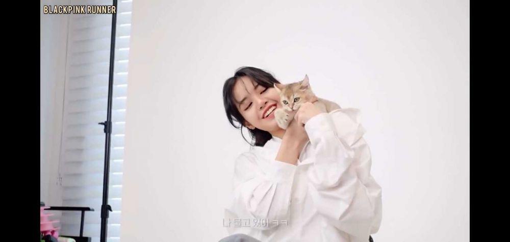 7 Idol KPop Ternyata Pencinta Kucing, Bikin Tambah Ngefans!