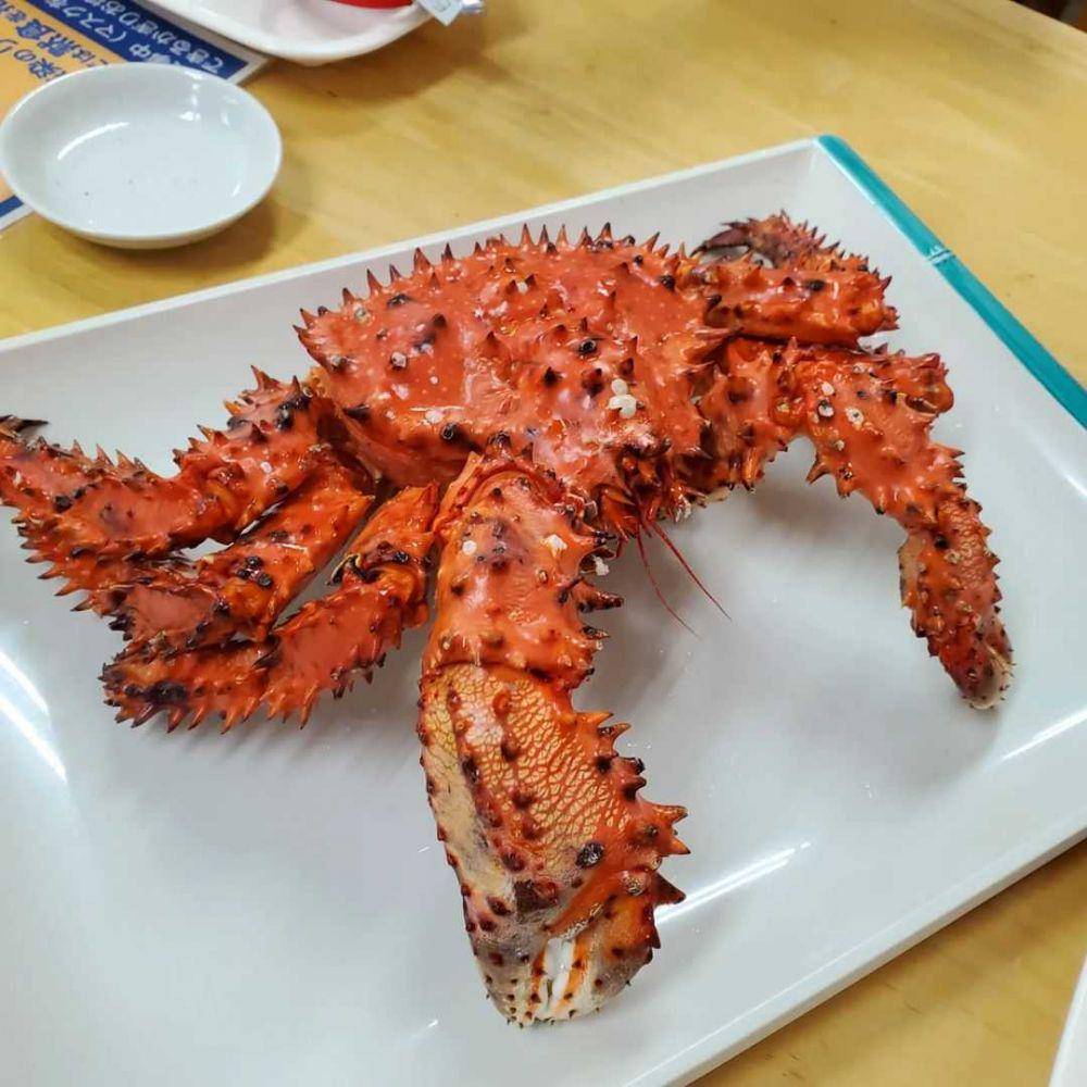 kepiting hanasakigani (instagram.com/ryuunsai09)