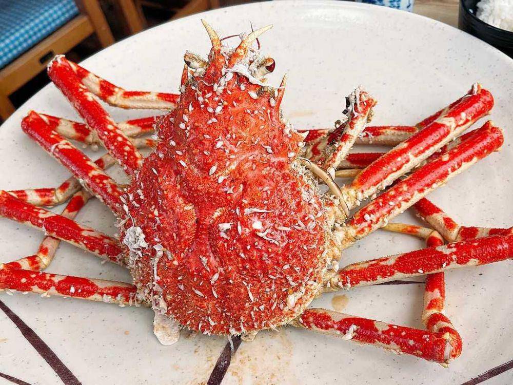 Ilustrasi kepiting takashigani(instagram.com/chiharu_gourmet