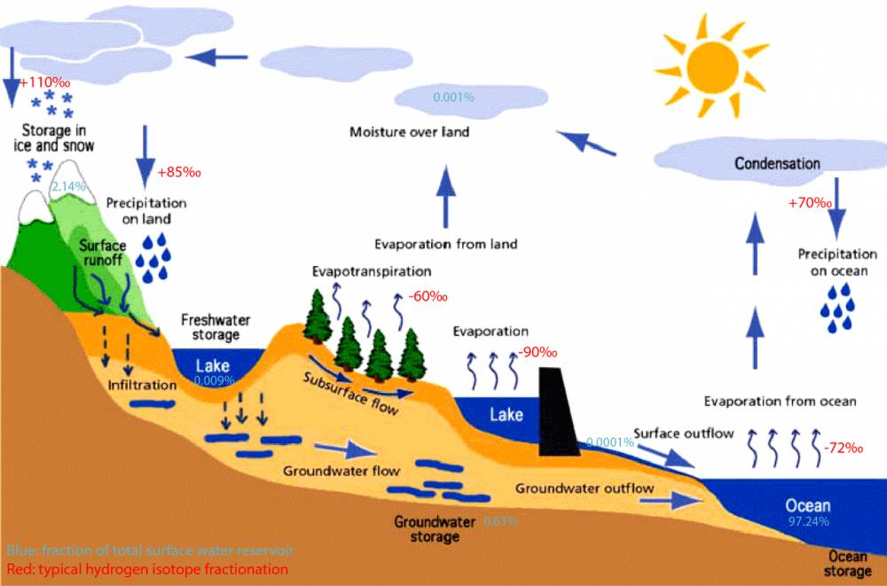 ilustrasi diagram siklus hidrologi (wikimedia.org/Sunson08)