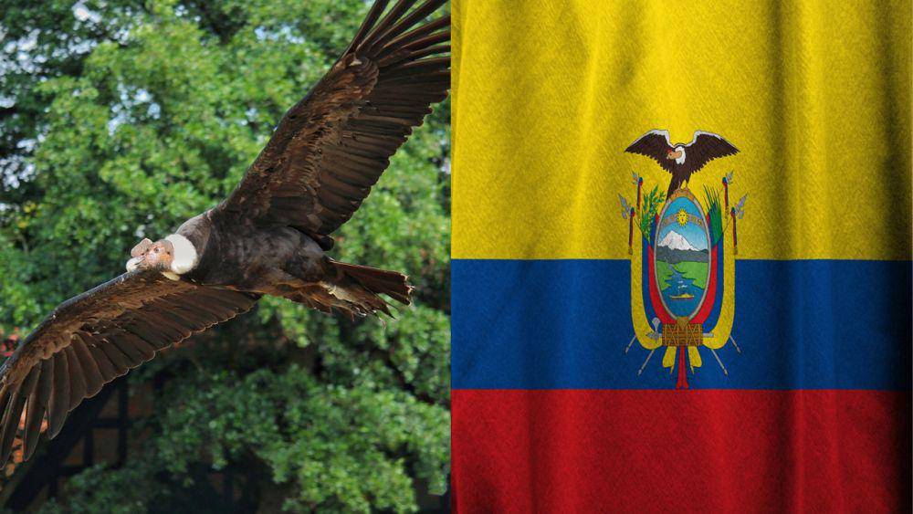 potret burung kondor andes dan bendera Ekuador (pixabay.com/Lolame | pixabay.com/Pete Linforth)