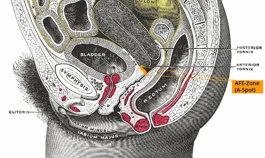 ilustrasi letak a-spot (wikimedia.org)