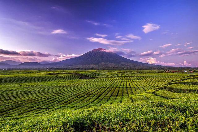 10 Tempat Wisata Kerinci dengan Pemandangan Alam yang Indah
