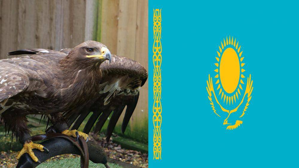 potret elang steppe dan bendera Kazakhstan (pixabay.com/Kevinsphotos | pixabay.com/Debi Brady)
