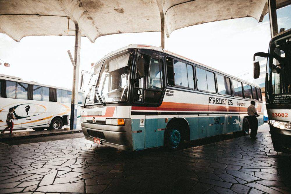 Ilustrasi bus (pexels.com/Jonathan Borba)
