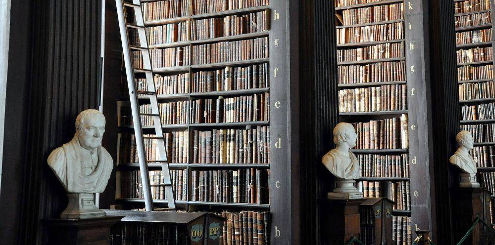 ilustrasi perpustakaan (unsplash.com/Alex Block)