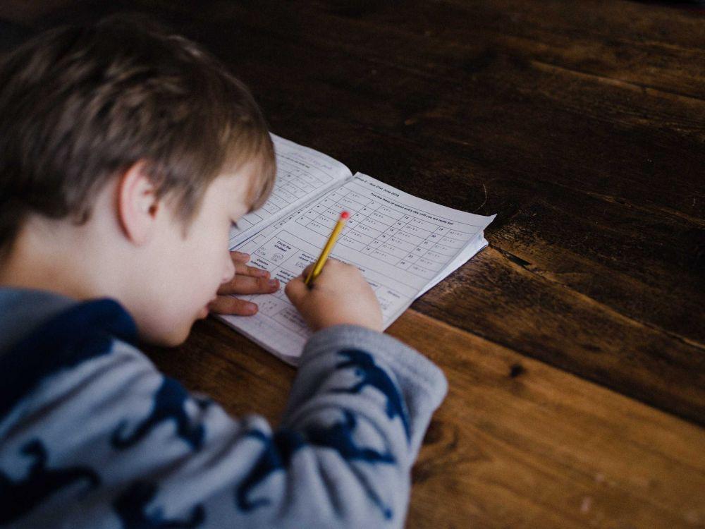 ilustrasi anak belajar (unsplash.com/anniespratt)
