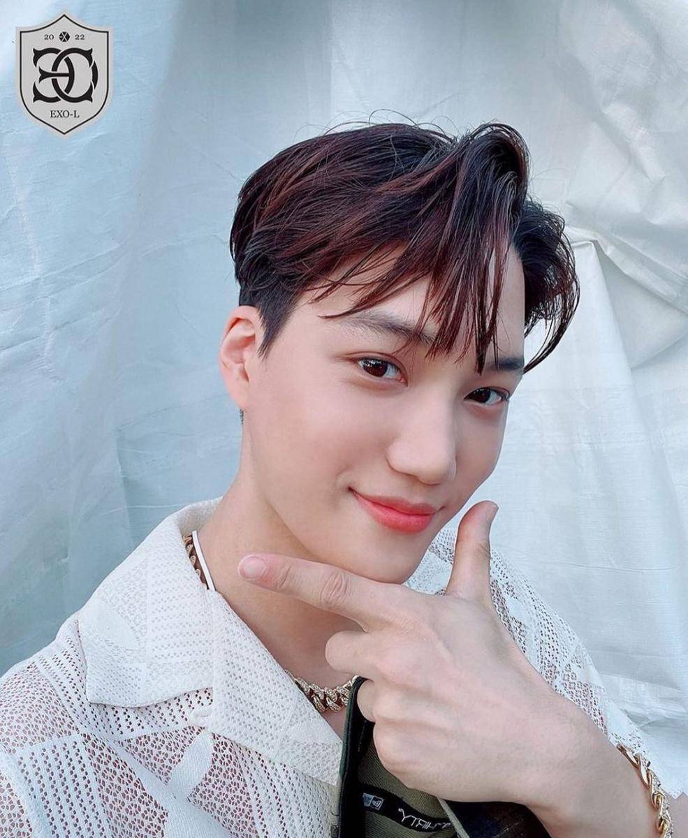 Kai EXO (https://www.instagram.com/kimkai.exoo/)