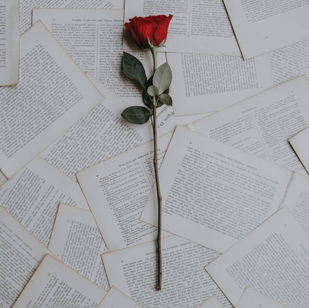 foto hanya ilustrasi (unsplash.com/Annie Spratt)