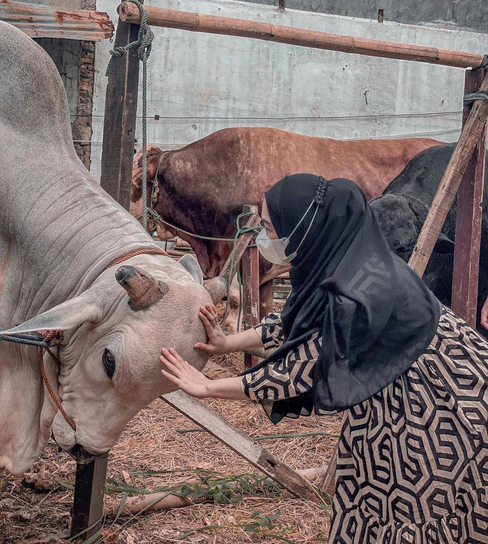 Ria Ricis cari sapi kurban (Instagram.com/riaricis1895/)