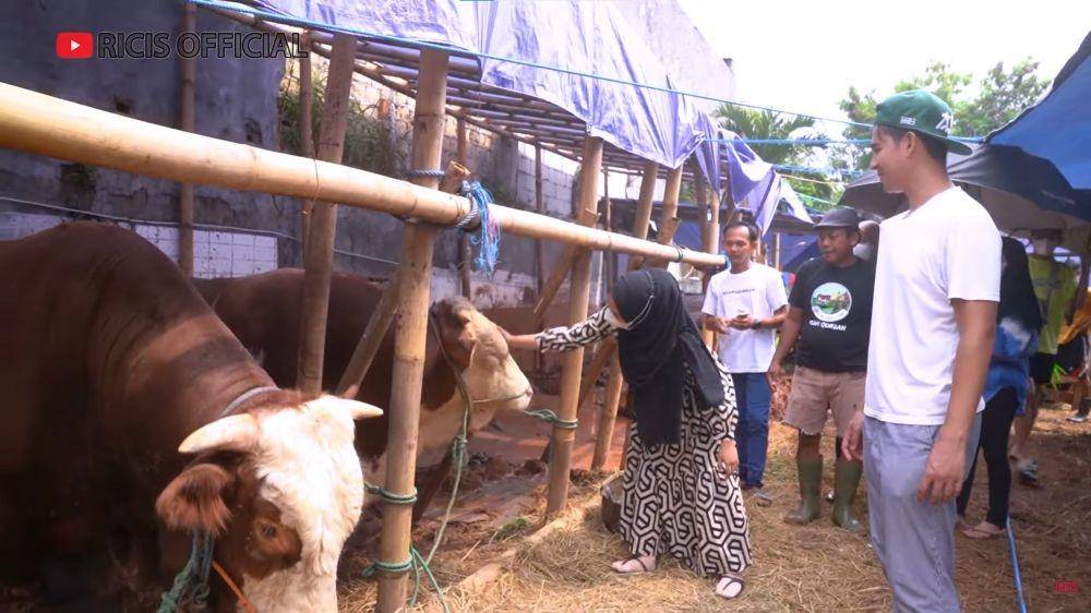 Ria Ricis cari sapi kurban (YouTube.com/Ricis Official/)