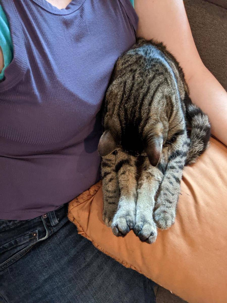 potret hewan peliharaan nyeleneh (reddit.com/user/exhaustednonbinary)