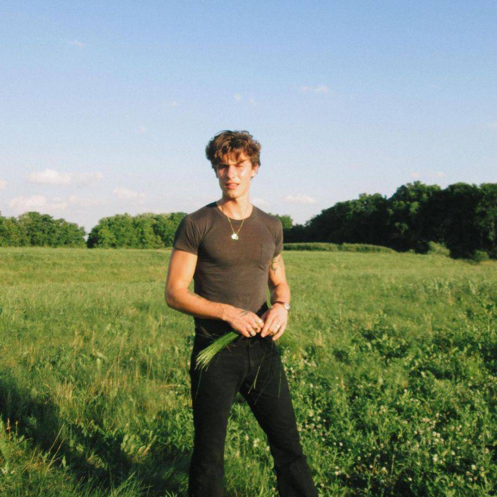 Shawn Mendes (instagram.com/shawnmendes)