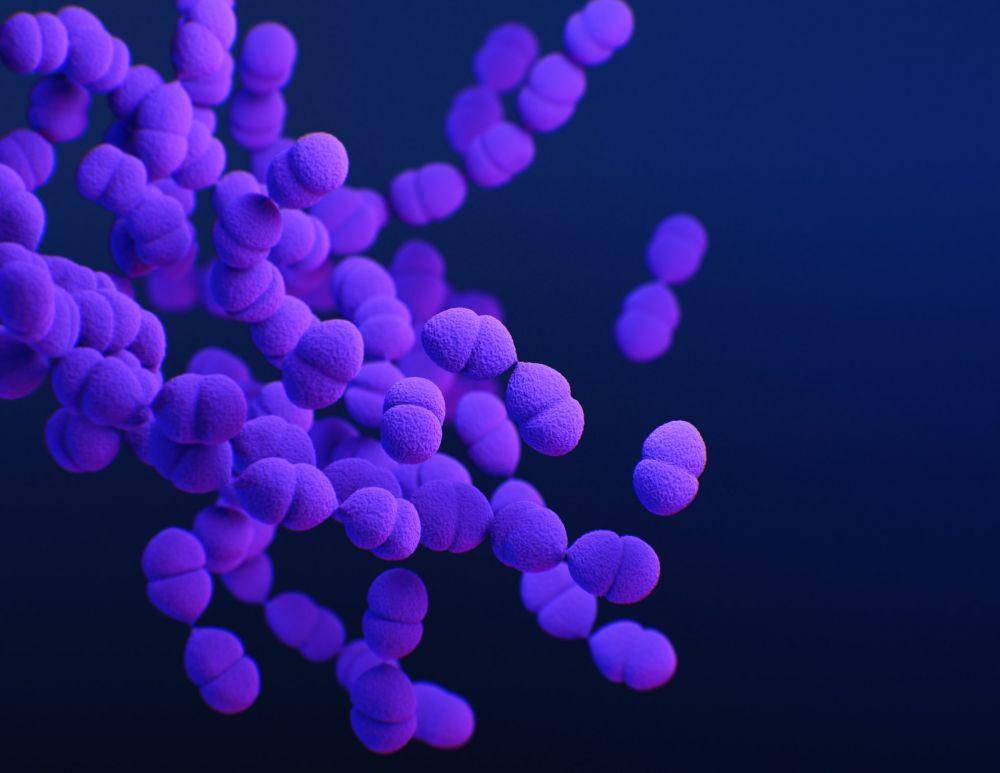 ilustrasi bakteri Streptococcus pneumoniae resisten obat (unsplash.com/CDC)