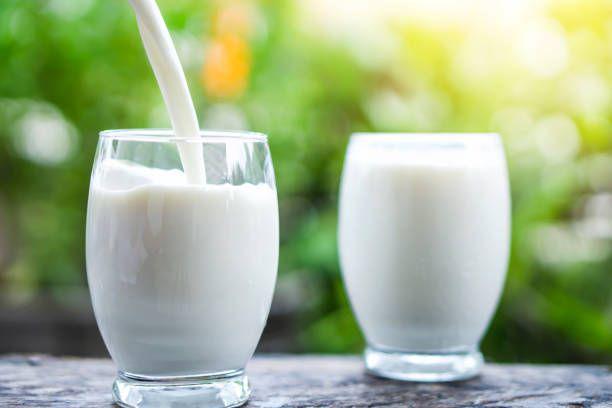 Jawab Kebutuhan Intoleransi Laktosa, MilkLife Luncurkan Produk Baru