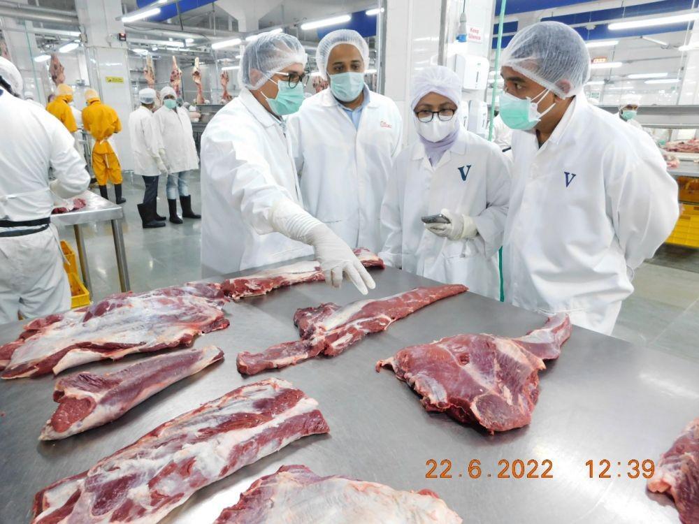 Direksi Bulog Bertolak ke India, Cek Daging Kerbau Impor Bebas PMK