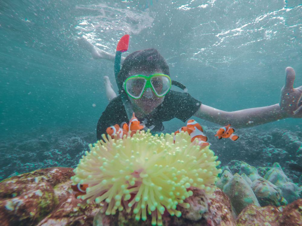 5 Rekomendasi Wisata Snorkeling di Lampung, Surga Bawah Laut!