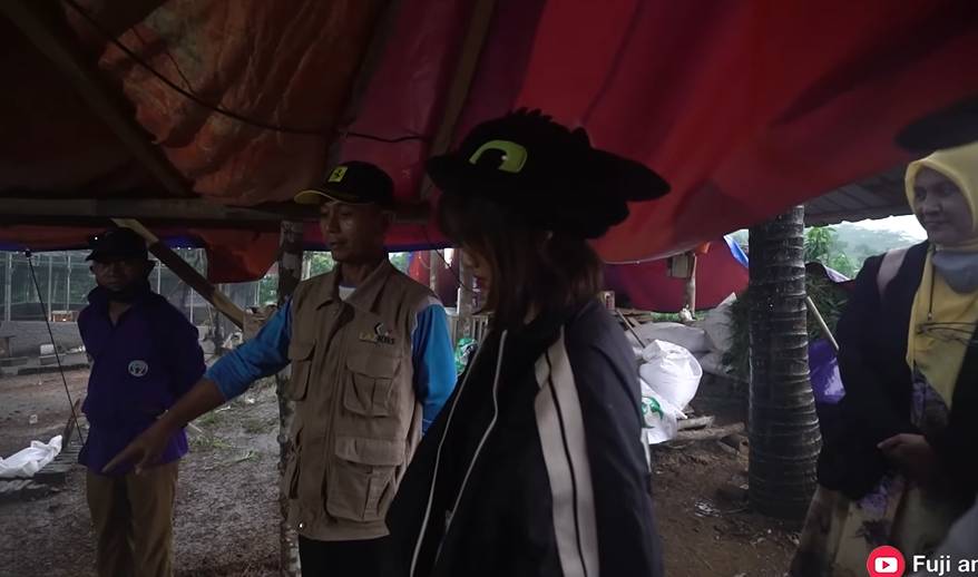 Fuji beli sapi untuk kurban (YouTube.com/Fuji an)
