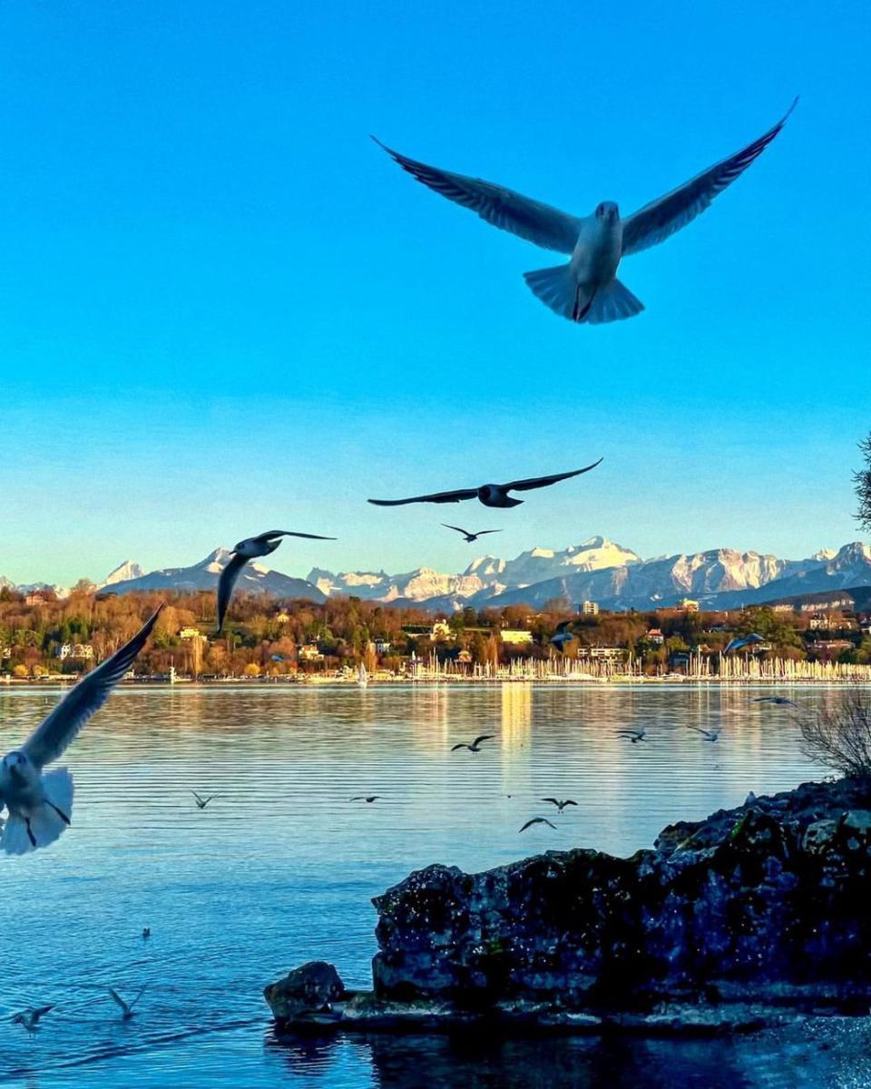 potret Geneva Lake (instagram.com/m.a.p.2.0)