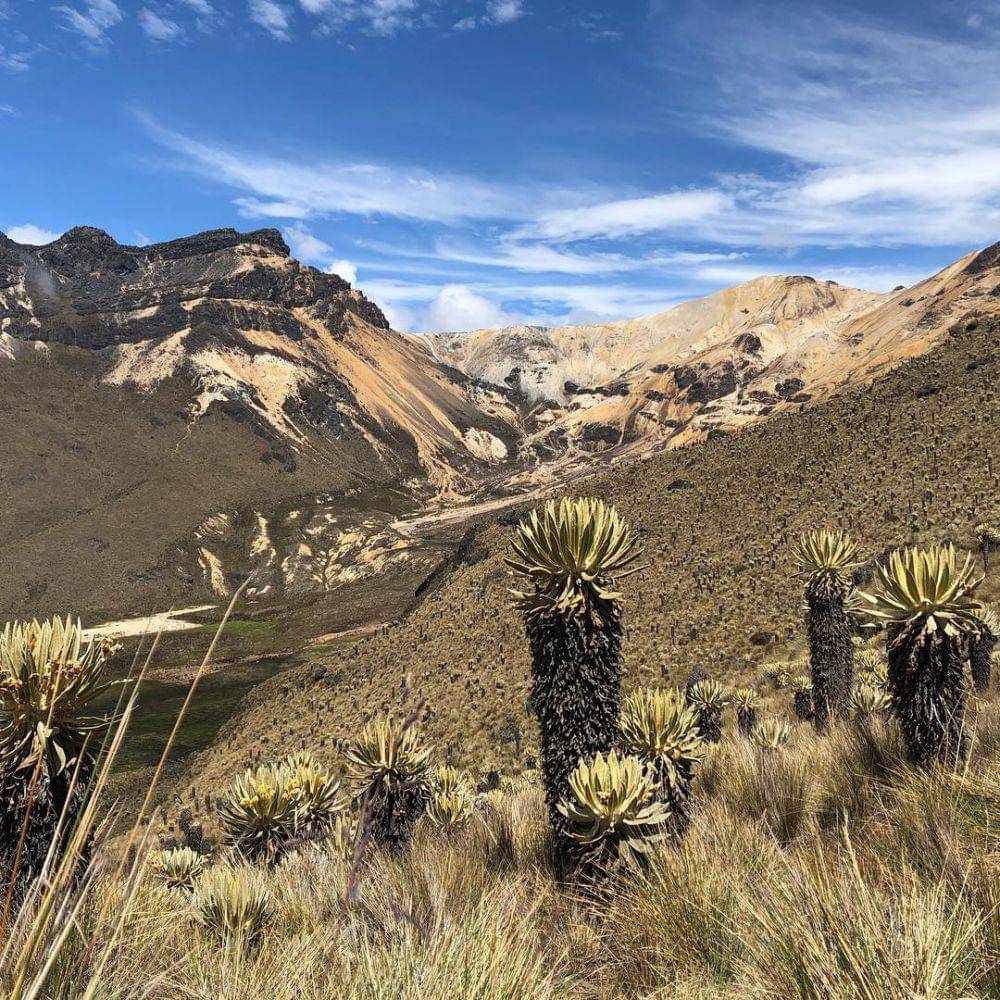 potret Los Nevados National Park (instagram.com/mariannethe)