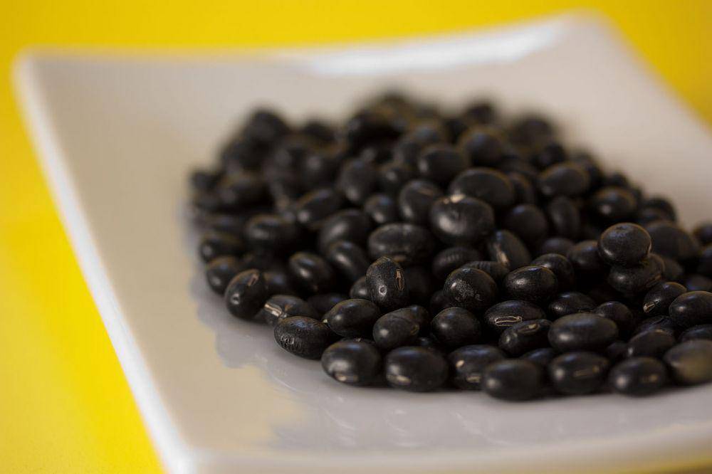 ilustrasi kacang kedelai hitam (wikimedia.org/Veganbaking.net)