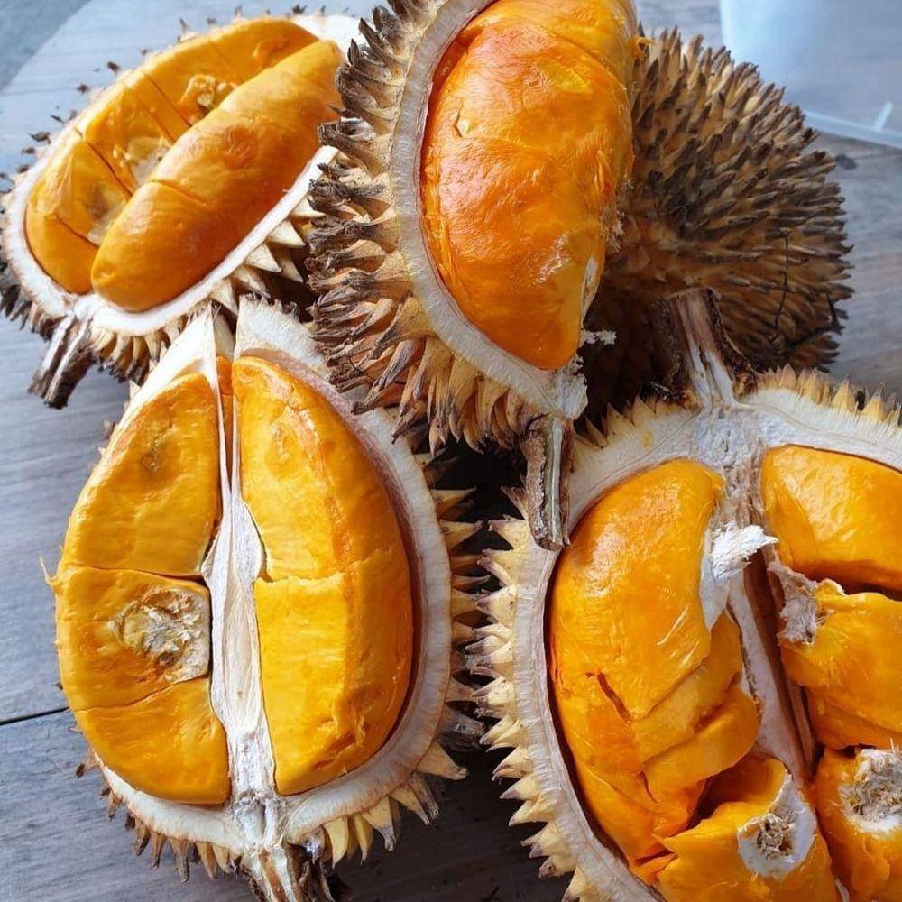 Potret buah lai (instagram.com/fruitarian)