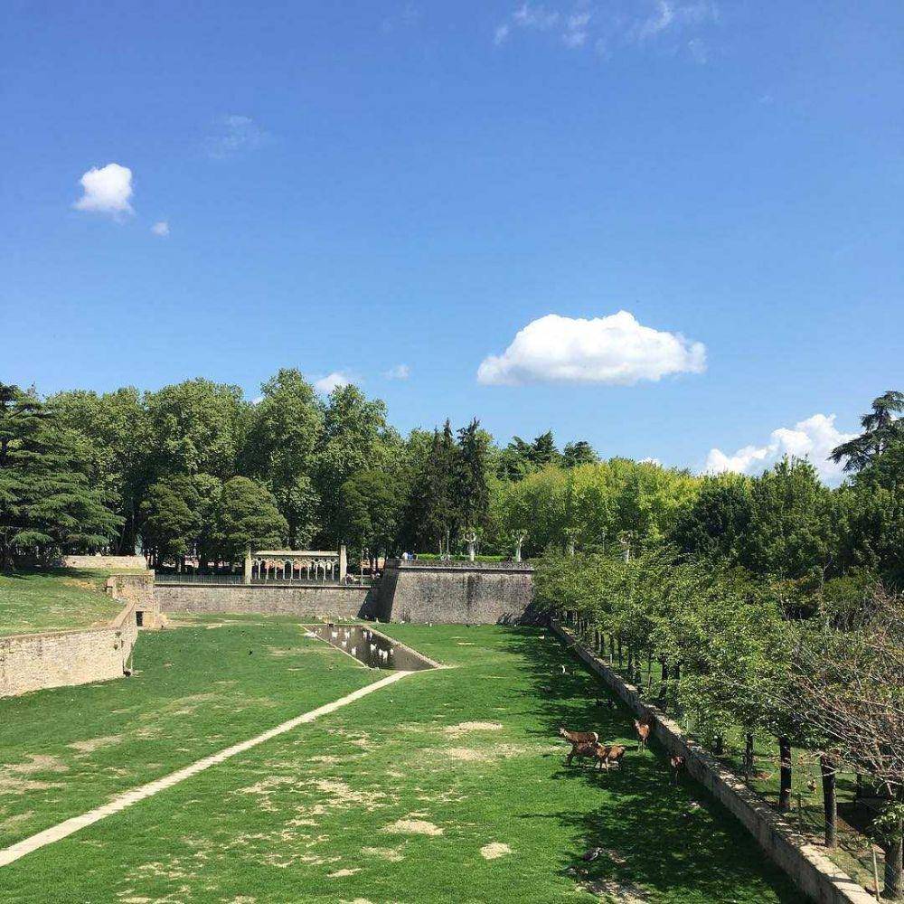Taconera Gardens (instagram.com/arquimama)