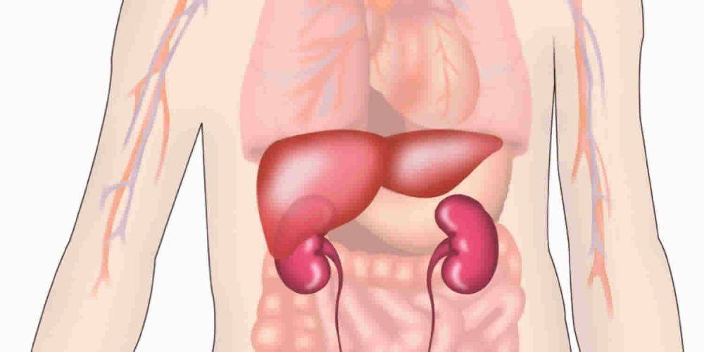 ilustrasi sindrom hepatorenal (healthjade.com)