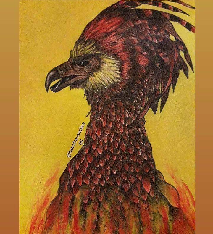 Fawkes (instagram.com/mugglenet)