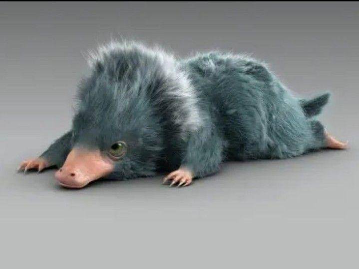 Niffler (instagram.com/mugglenet)