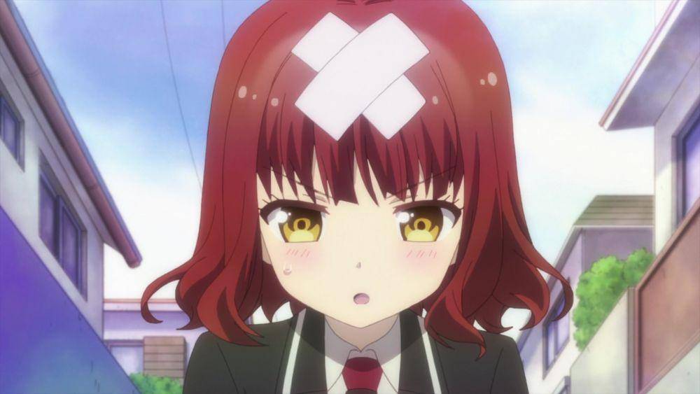 Hibiki Hagyu (dok. SILVER LINK./Anne-Happy)