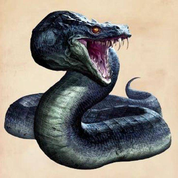 Basilisk (harrypotter.fandom.com)