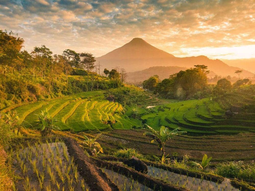 10 Potret Selotapak Village, Pemandangan Terasering Gak Bikin Boring
