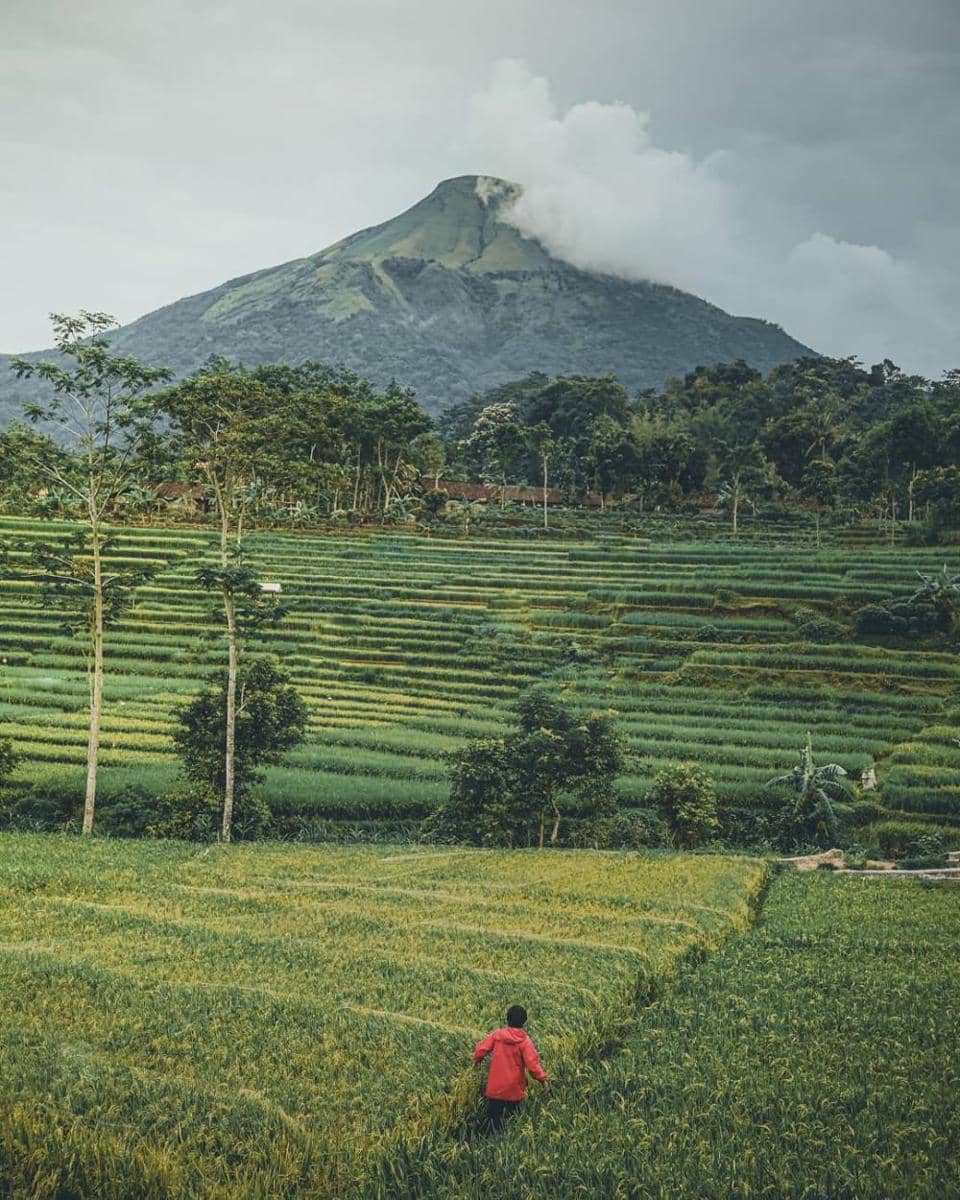 potret Selotapak Village (instagram.com/sholaah_)