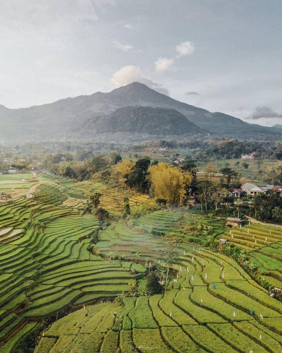 potret Selotapak Village (instagram.com/kabarmojokerto)