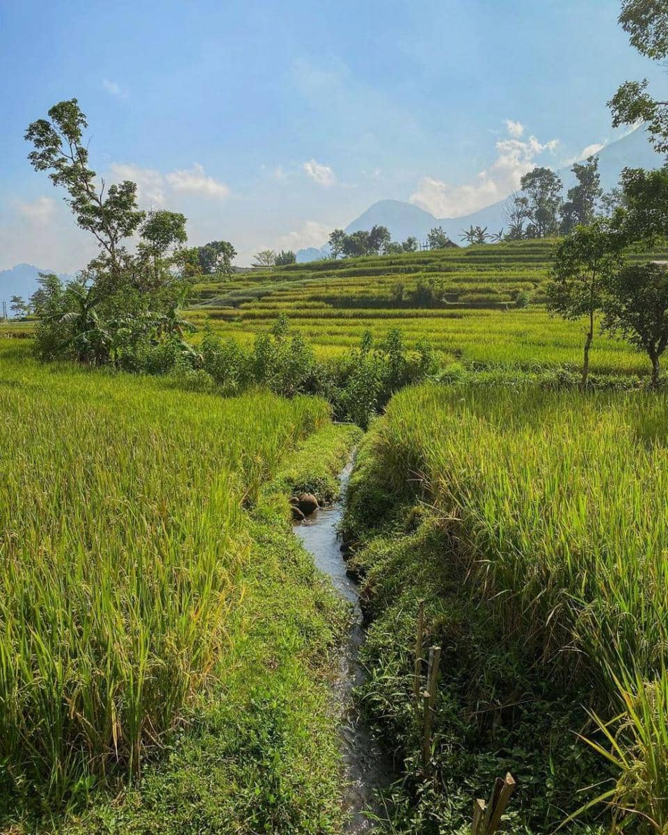 potret Selotapak Village (instagram.com/infoseputartrawas)