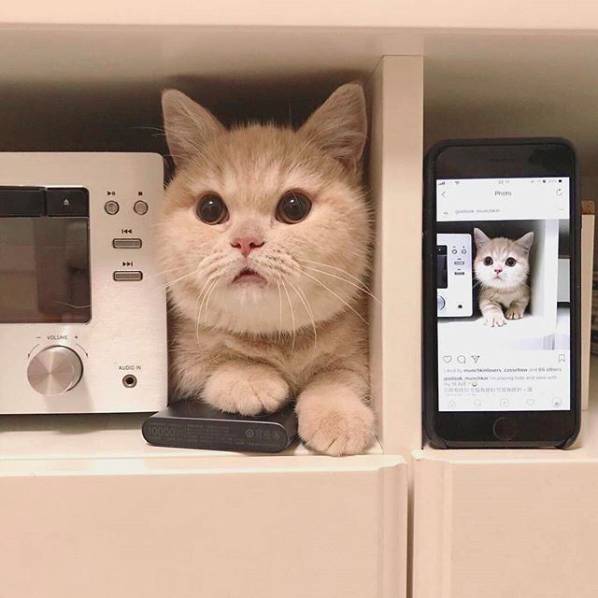 potret perbandingan foto dari tahun ke tahun (reddit.com/user/Nozawa_Haruhisa)