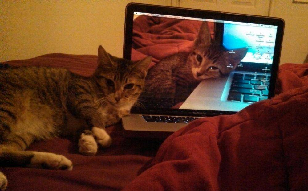 potret perbandingan foto dari tahun ke tahun (imgur.com/user/kimberjel)