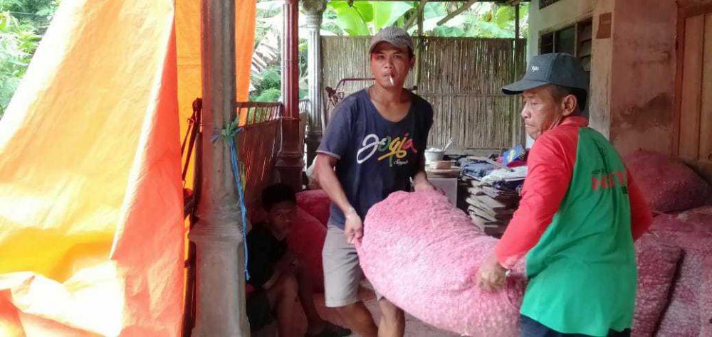 Bibit bawang merah jenis tajuk. (IDN Times/Daruwaskita)